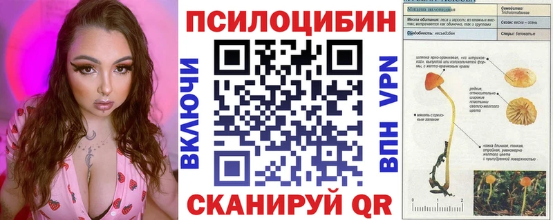Псилоцибиновые грибы Psilocybine cubensis  Темников 